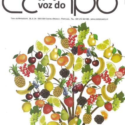 Artigo na Revista Voz do Campo - edição de outubro de 2018
